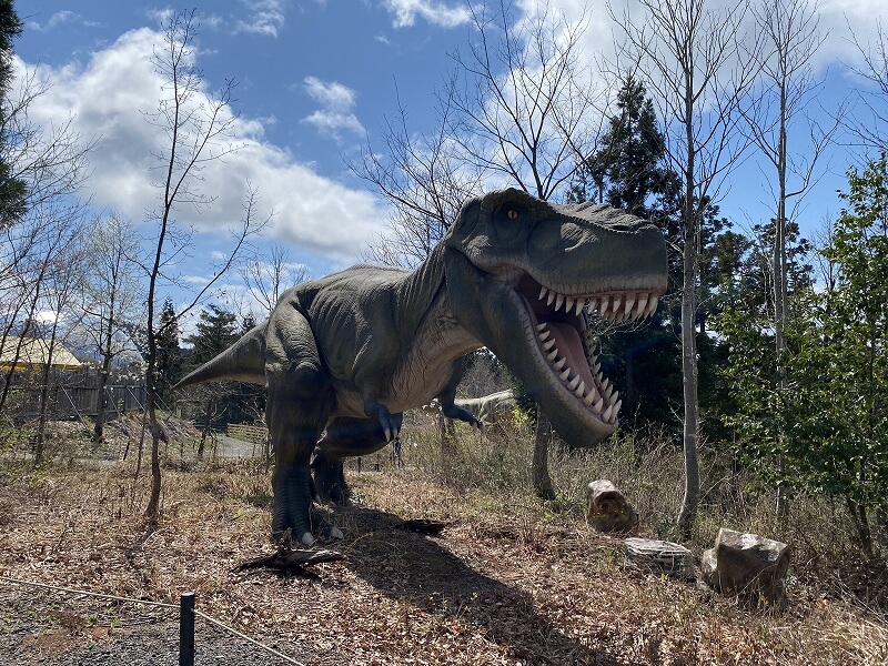 恐竜発掘・化石堀りキャンプ