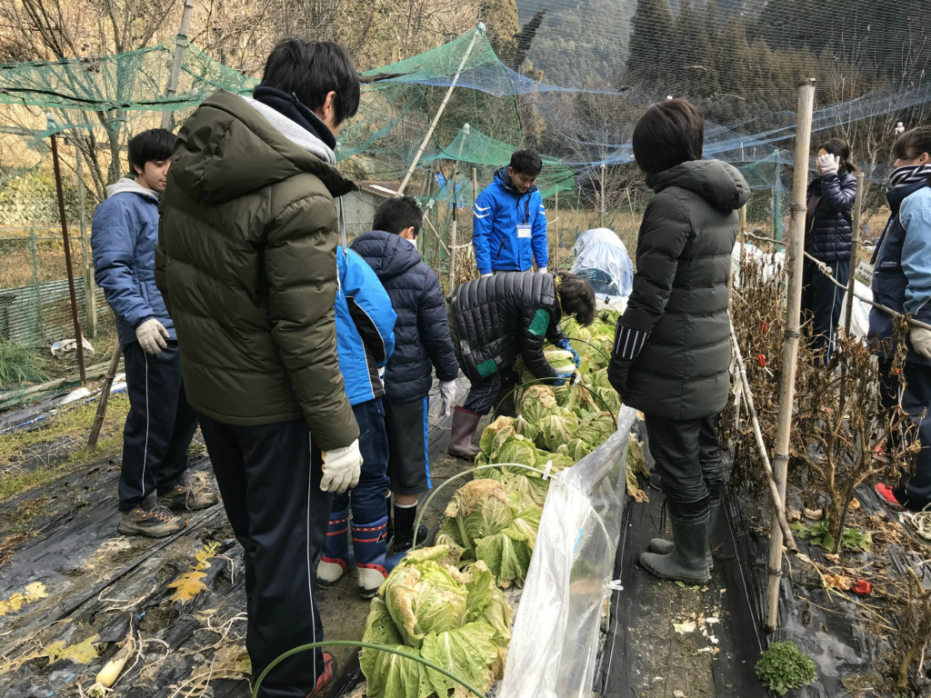 里山体験in喜佐谷～冬野菜の収穫＆野外料理編～