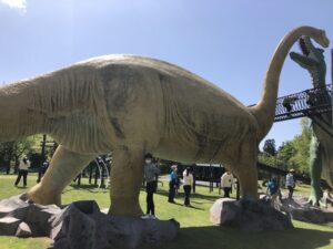恐竜発掘・化石堀キャンプGW