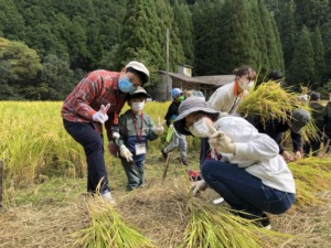 里山デイキャンプ「稲刈り編」