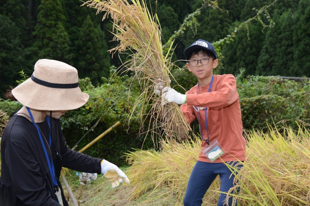 里山デイキャンプin吉野「稲刈り編」