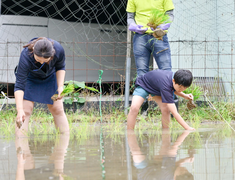 里山デイキャンプin吉野「田植え編」