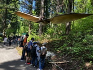 恐竜発掘・化石堀りキャンプGW