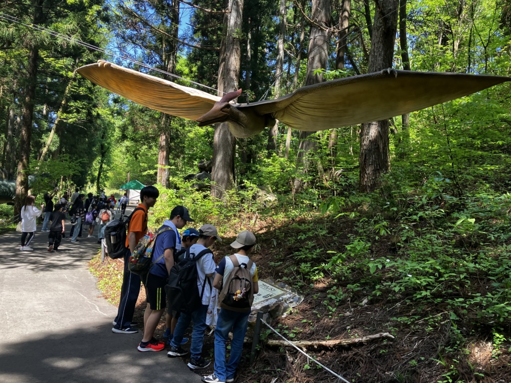 恐竜発掘・化石堀りキャンプGW