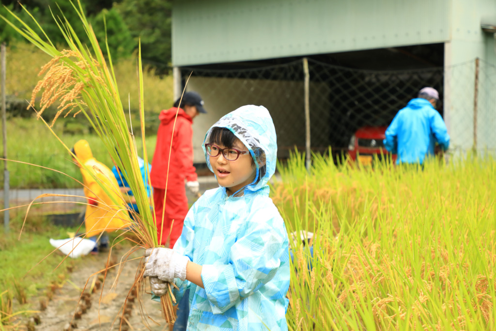 里山デイキャンプin吉野「稲刈り編」
